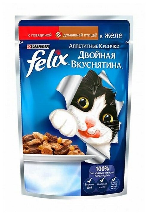 Влажный корм для кошек Felix аппетитные кусочки, двойная вкуснятина, с говядиной и домашней птицей 85 г (кусочки в желе) - фотография № 11