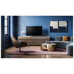 OLED телевизоры Loewe bild v.55 dr+ (60411D50) - изображение