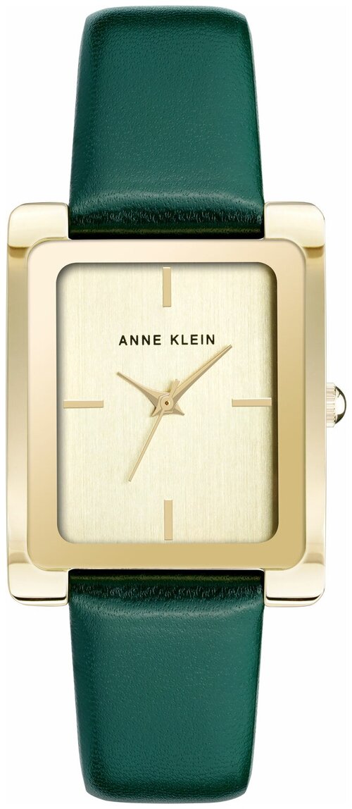 Наручные часы ANNE KLEIN Leather 2706CHGN, золотой