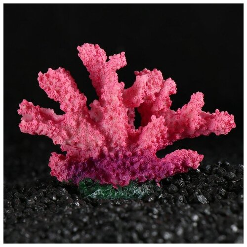 Декоративный коралл Синулярия, 10 х 5 х 6,5 см./В упаковке шт: 1