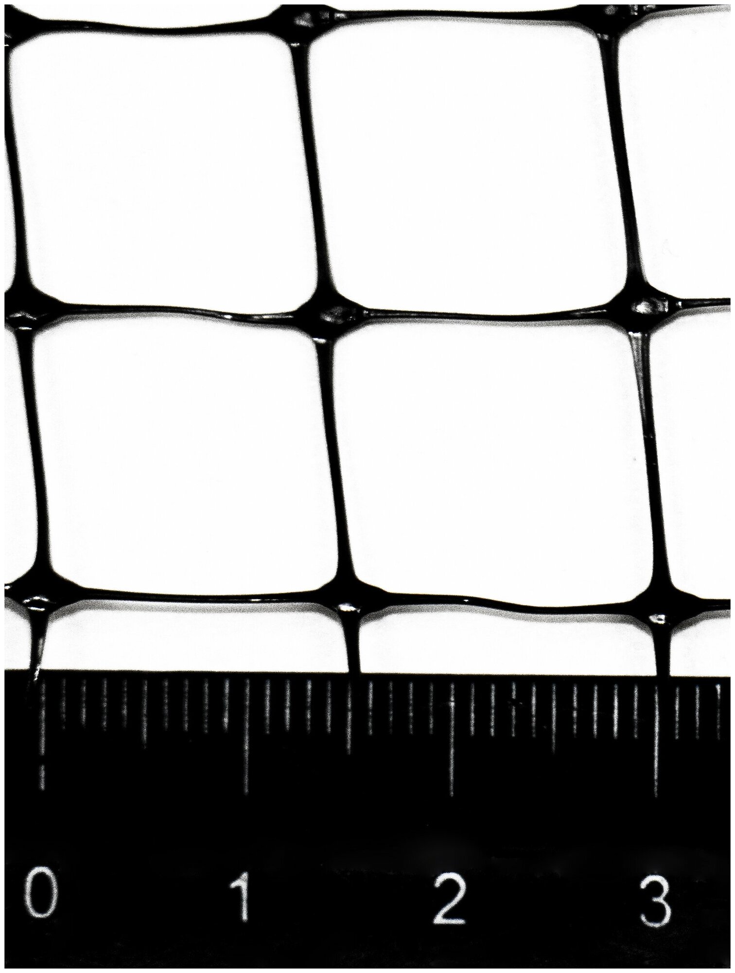 Сетка от кротов садовая пластиковая 20 м2 (ширина 2 м, длина 10 м, ячейки 14x14 мм) квадратная - фотография № 3