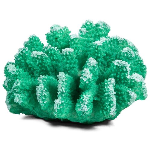 Коралл искусственный Поциллопора, зеленый, 120х110х65мм, 1шт