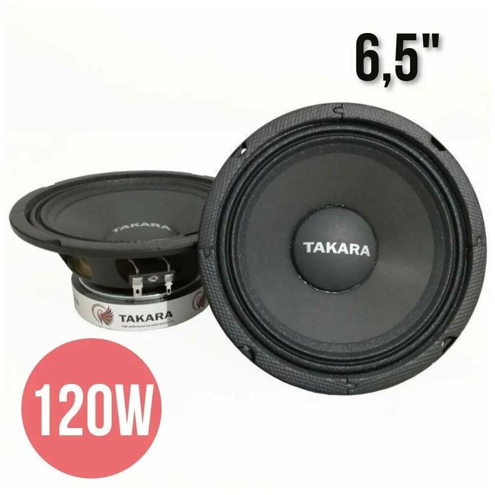 Автомобильные эстрадные динамики TAKARA Dance 6S (2 динамика) 65 дюймов / Автомобильная акустика /