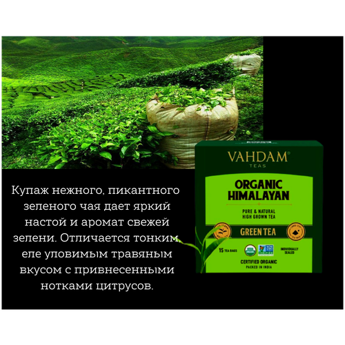 VAHDAM/HIMALAYAN GREEN TEA/ VAHDAM Гималайский Органический Зеленый Чай/ 100% зеленый чай/ 15 пирамидок