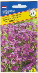 Семена Обриеты гибридной крупноцветковой "Розовая" (0,1 г.)