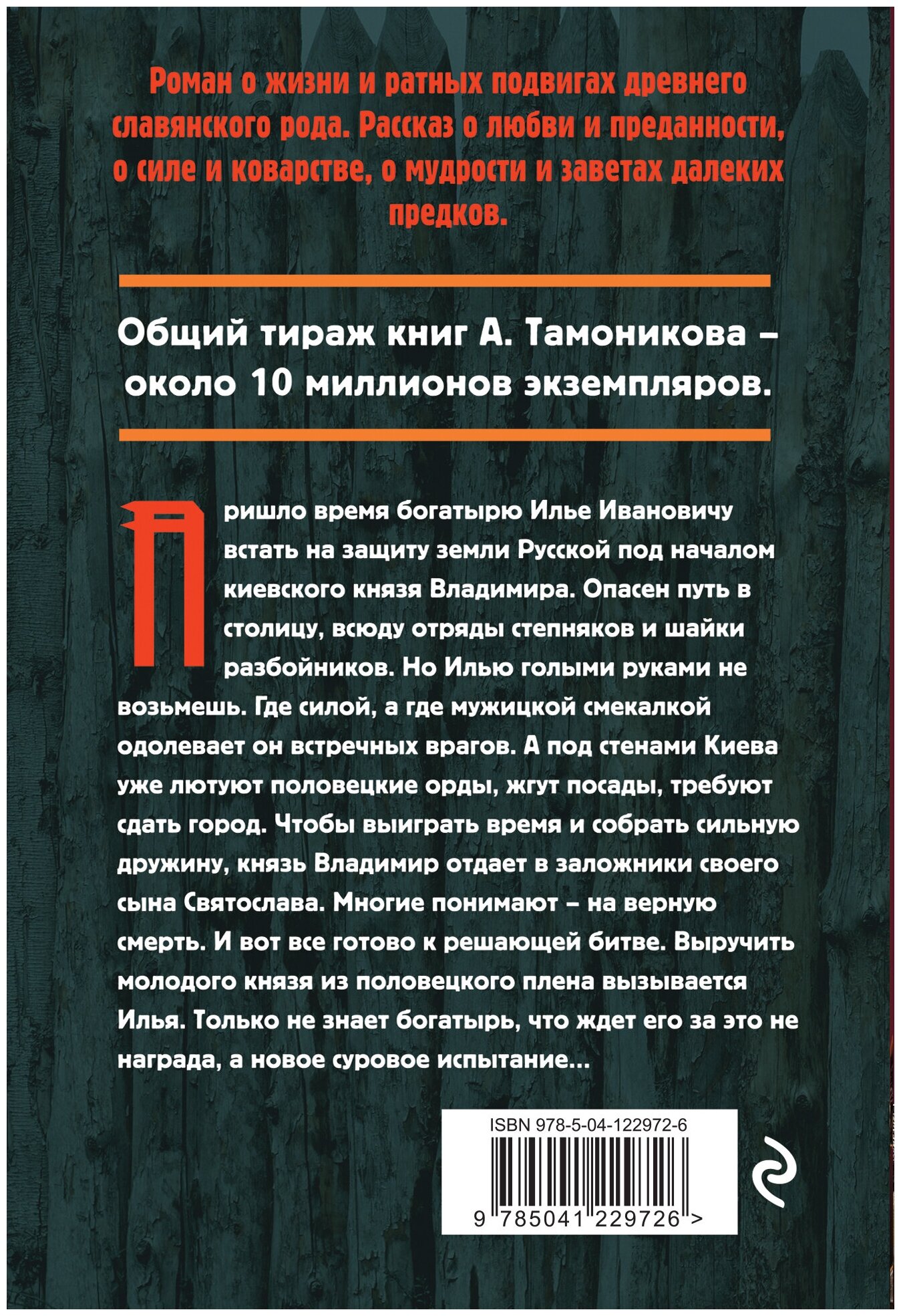 Северный витязь (Гончаров Андрей Александрович) - фото №2