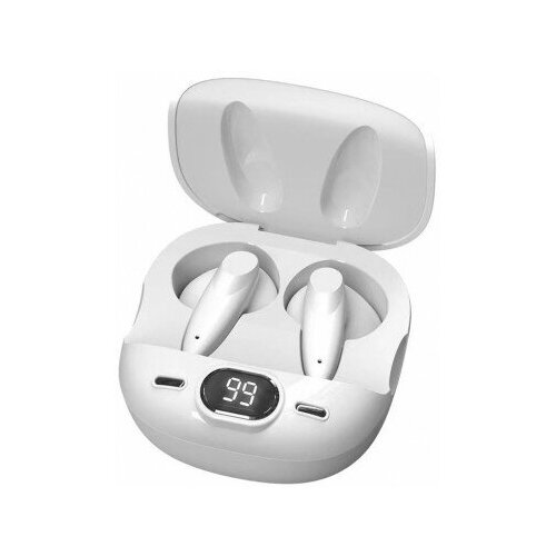 BandRate Smart BRSTWSPRO6WW 248000₽