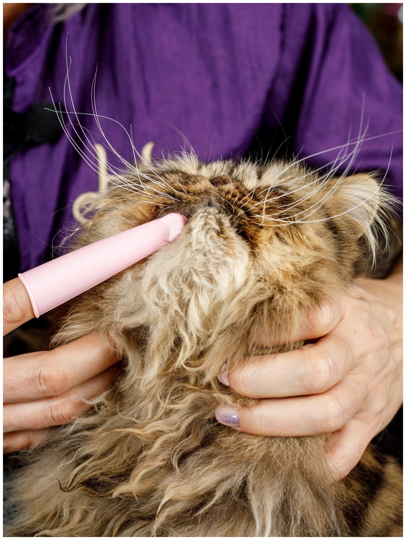 Japan Premium Pet Зубная щетка анатомическая силиконовая для мелких собак и кошек - фотография № 18