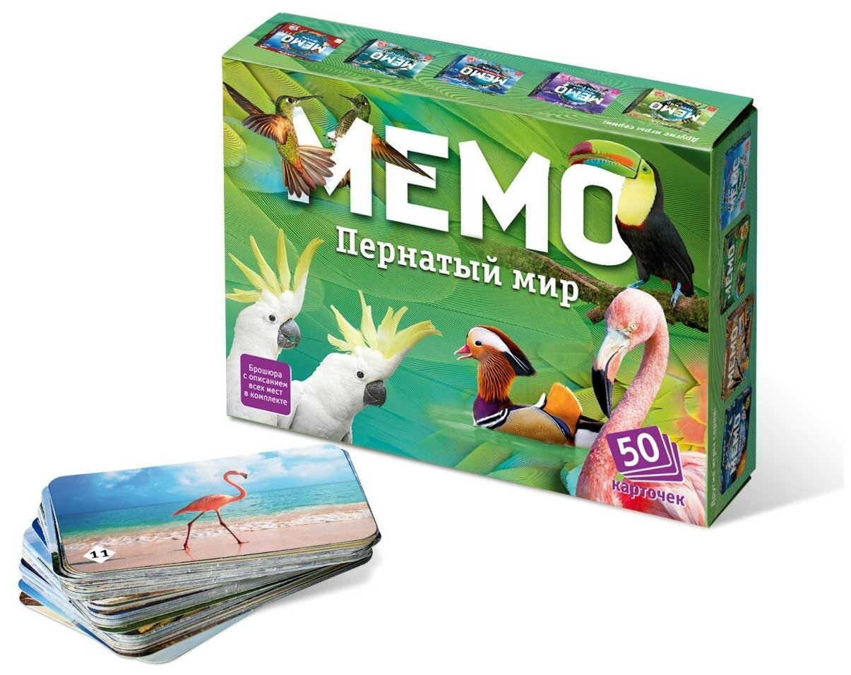 Настольные развивающие игры для детей для всей семьи Мемо "Пернатый мир"