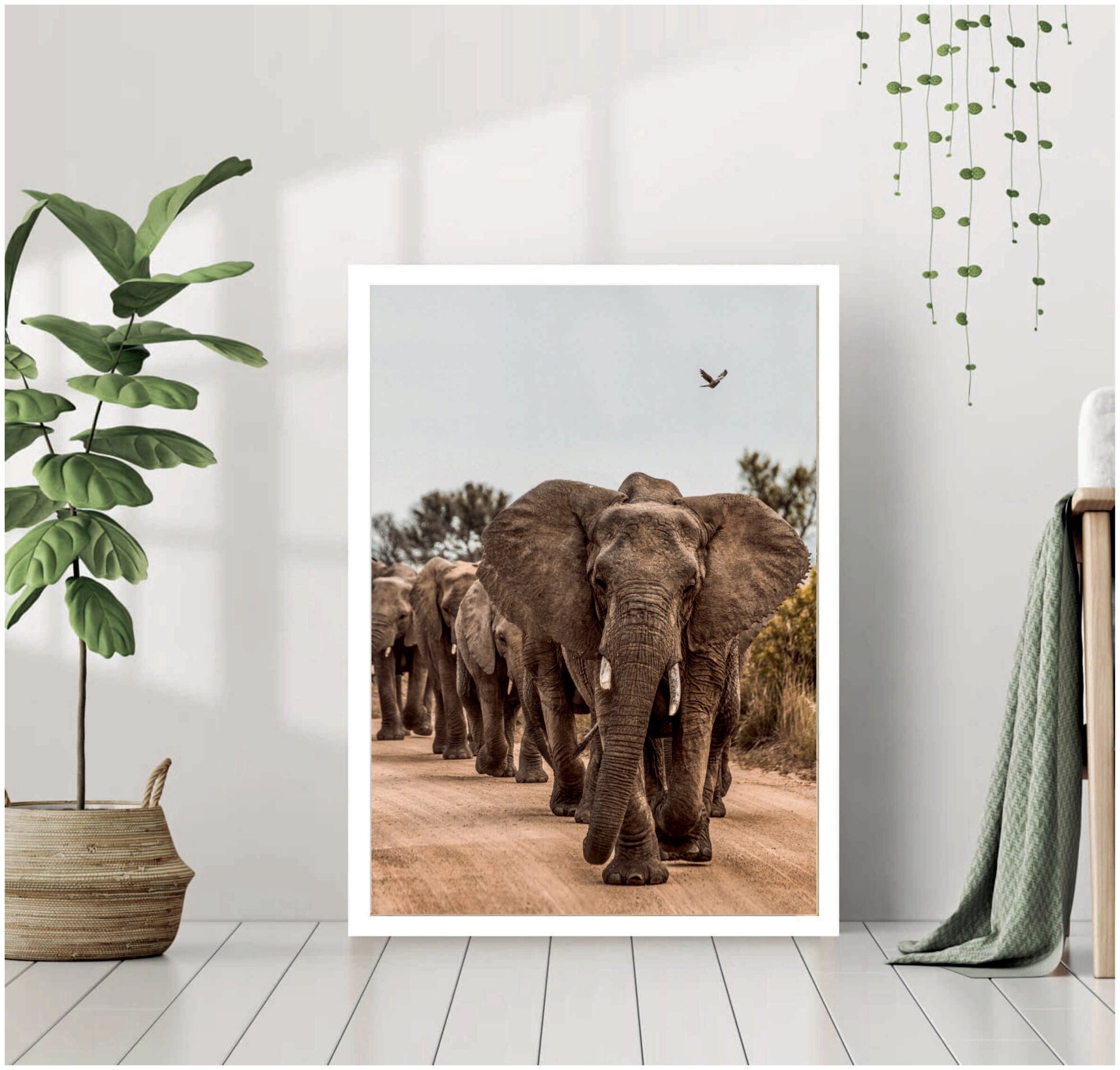 Постер в раме "Африканские слоны" 40 на 50 / Картина для интерьера в белой рамке / Плакат / Постер на стену / Интерьерные картины