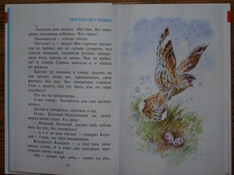 Рассказы о животных (Бианки Виталий Валентинович; Скребицкий Георгий Алексеевич; Пришвин Михаил Михайлович; Сладков Николай Иванович) - фото №19