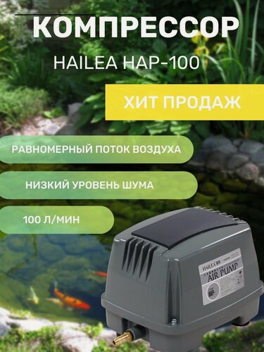 Изображение товара Компрессор HAILEA HAP-100
