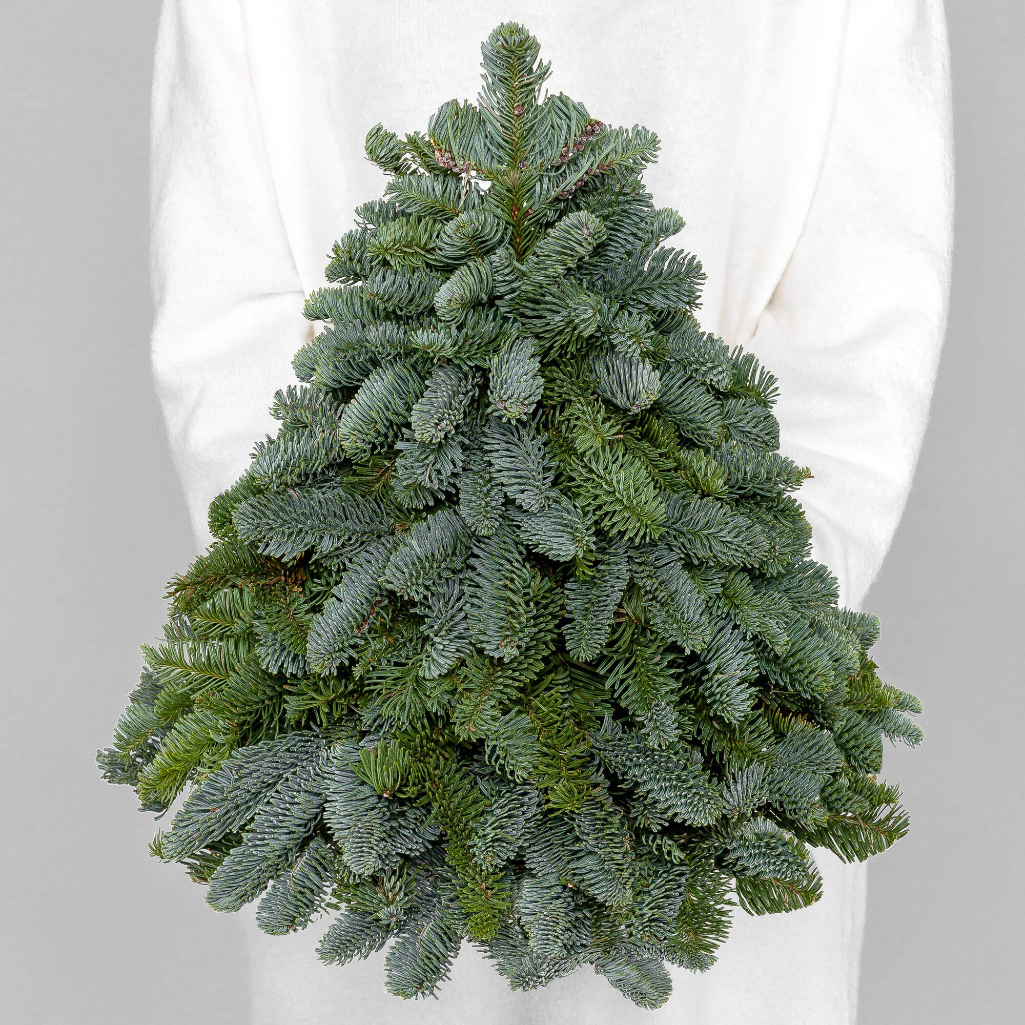 Новогодняя Ёлка Мегацвет24 из натуральной хвои без декора высота 35 см