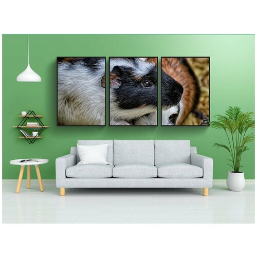 фото Набор модулных постеров для интерьера "морская свинка, милый, грызун" 60x90 см. в тубусе, без рамки lotsprints