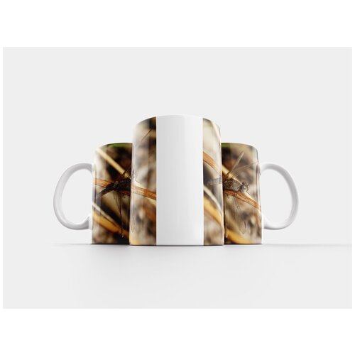 фото Кружка "стрекоза, крылатое насекомое, серая стрекоза" 320 мл lotsprints