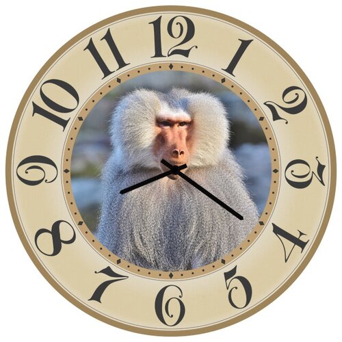 фото Svs настенные часы svs 3502231 смешной обезьян