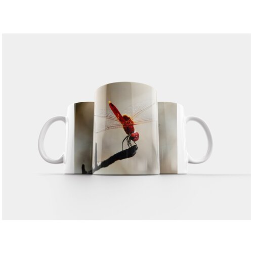 фото Кружка "крупный план, стрекоза, насекомое" 320 мл lotsprints