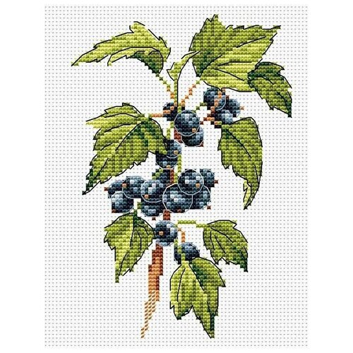 фото Набор для вышивания на канве жар-птица "веточка черной смородины", 15х18см (вышивка крестом)
