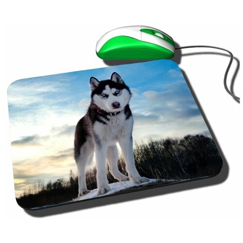 Коврик для компьютерной мышки с принтом Хаски
