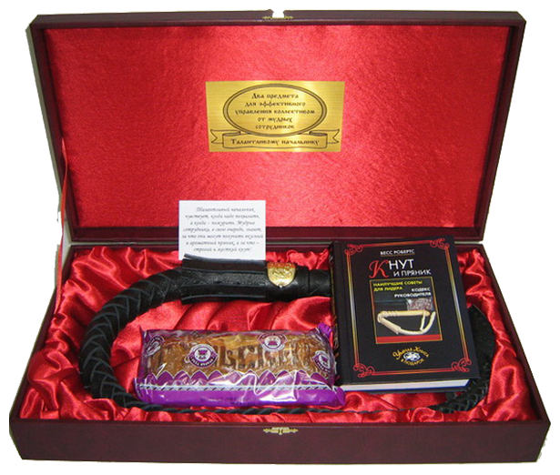Подарочный набор Кнут и пряник с книжкой (разные виды) Р08-019 KNP-Р08-019