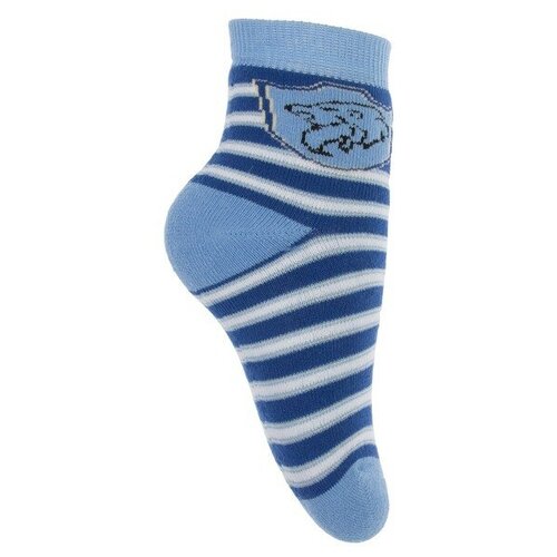Носки Носкофф размер 26, синий носки махровые детские носки элегия размер 16 18 серый