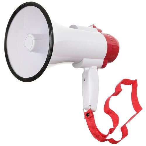 Мегафон ручной Megaphone HW-8RUSB говорящая игрушка попугай повторюша с функцией записи голоса