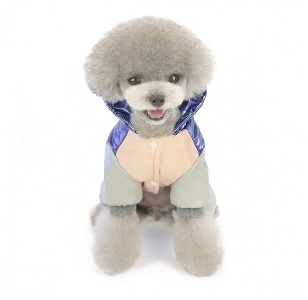 Комбинезон для собак «Color» фиолетовый (30 спина - 42 грудь - 29 шея) - фотография № 4