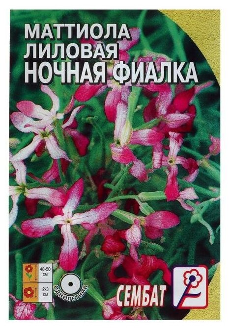 Семена цветов Маттиола Лиловая (ночая фиалка) 05 г