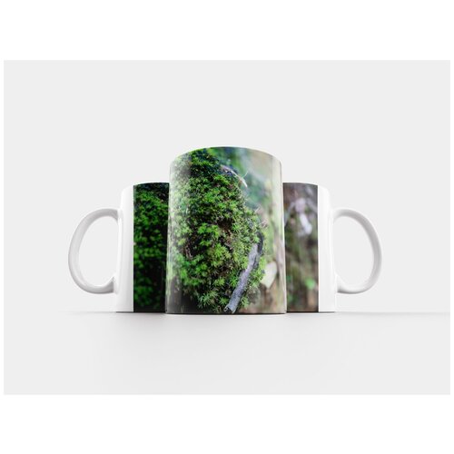 фото Кружка "мох, камень, пейзаж" 320 мл lotsprints