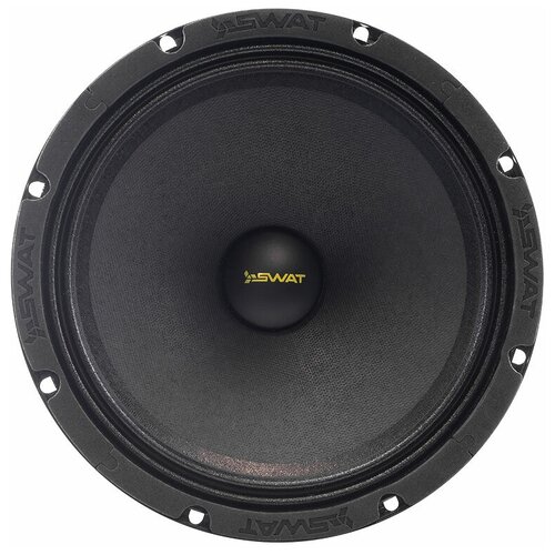 Акустическая система SWAT SBT-80Pro 20см 175 Вт 469500₽