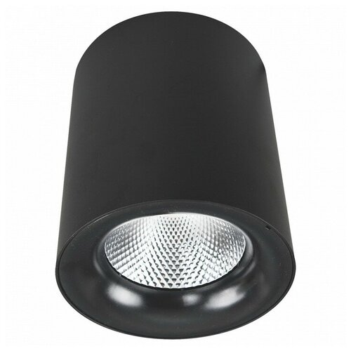 Накладной светильник h - 10, плафон - черный, арматура - черный, класс - I, IP -20, 3000К, стиль - техно, d - 80мм