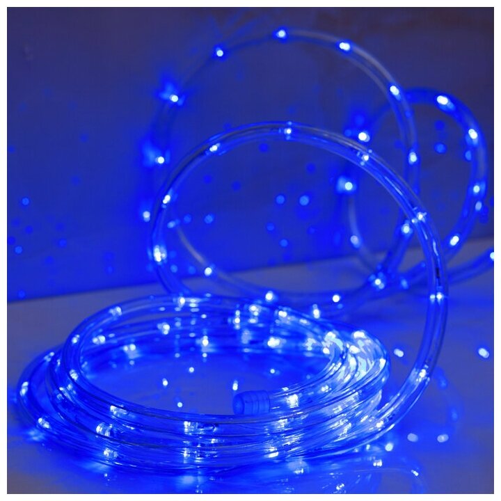 Luazon Lighting LED шнур 10 мм, круглый, 5 м, чейзинг, 2W-LED/м-24-220V, с контр. 8р, синий - фотография № 2