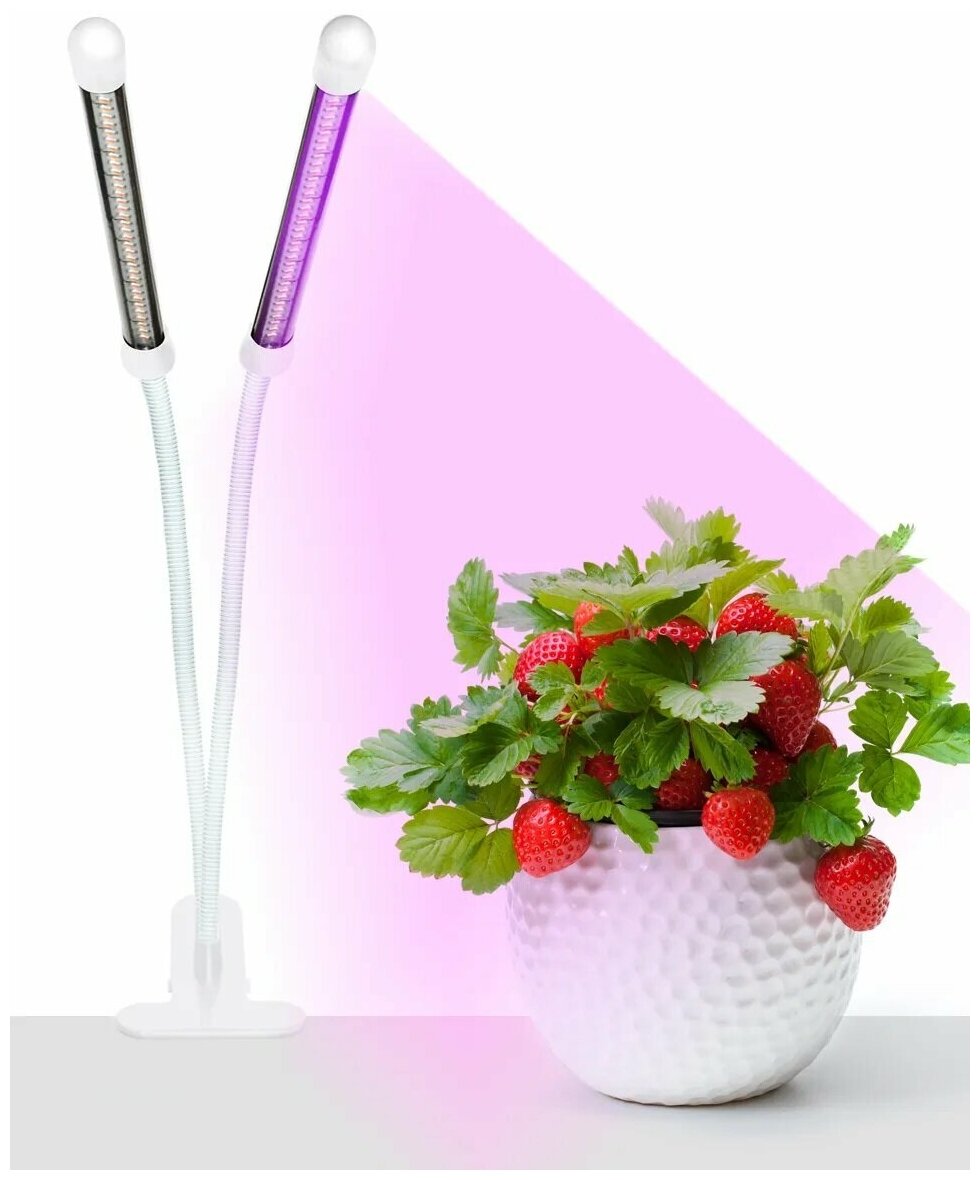 Светильник для растений белый светодиодный с таймером на прищепке/ Лампа для растений/ Фитолампа / лампа для рассады