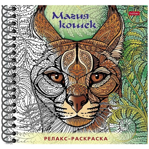 фото Раскраска релакс магия кошек (арт.327454) hatber