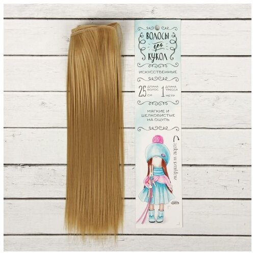 Волосы - тресс для кукол «Прямые» длина волос: 25 см, ширина:100 см, цвет № 24 (1шт.)