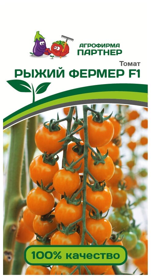 Семена Томата "Рыжий фермер" F1 (5 семян)