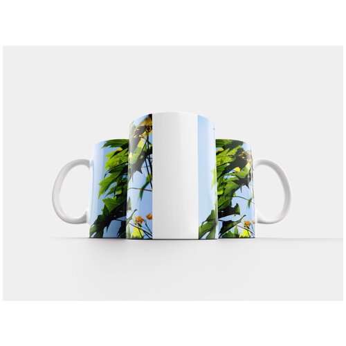 фото Кружка "лист, природа, растение" 320 мл lotsprints