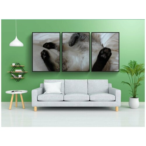 фото Набор модулных постеров для интерьера "кот, похмелье, домашняя кошка" 60x90 см. в тубусе, без рамки lotsprints