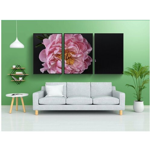 фото Набор модулных постеров для интерьера "пион, цвести, розовый" 60x90 см. в тубусе, без рамки lotsprints