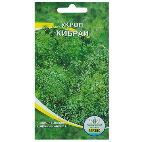 Семена Укроп 'Кибрай', 1 гр