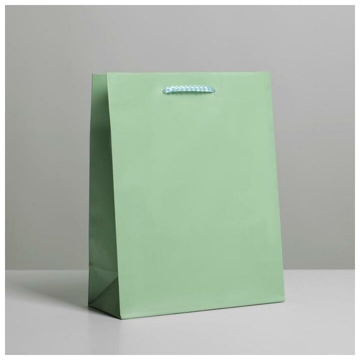 Пакет ламинированный «Зелёный» MS 18 х 23 х 8 см
