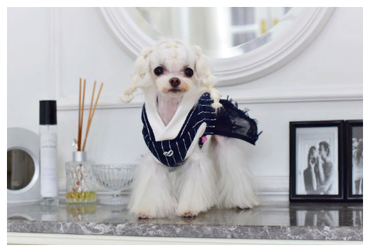 Толстовка с юбкой для собак Pinkaholic "VIDA", синяя, L (Южная Корея) - фотография № 4