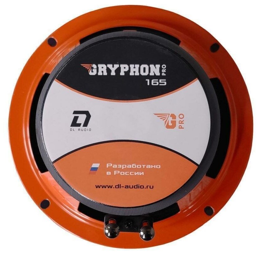 Колонки автомобильные 16 см DL Audio Gryphon Pro 165 эстрадные динамики