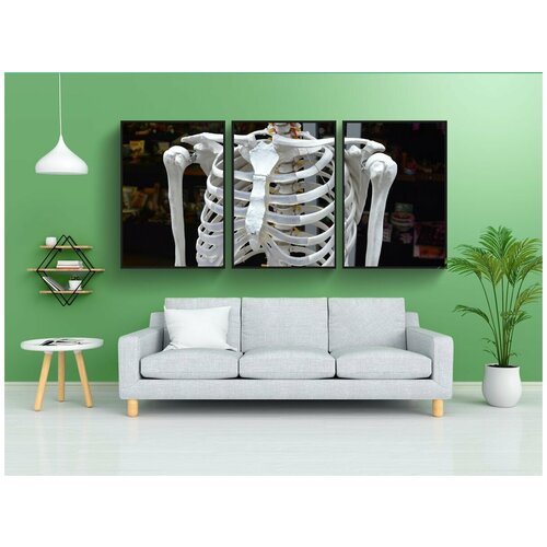 фото Набор модулных постеров для интерьера "скелет, кости, человек" 60x90 см. в тубусе, без рамки lotsprints