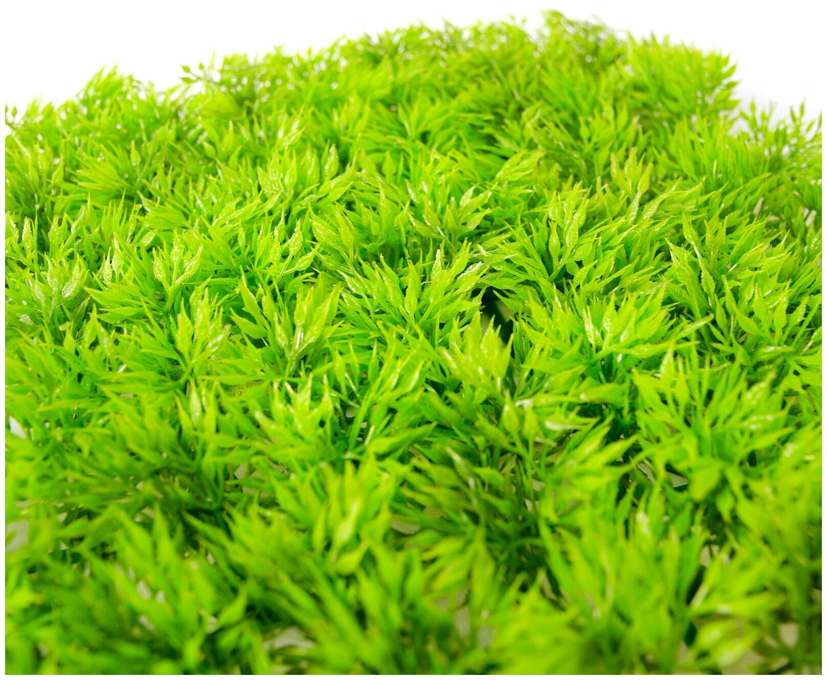 LUCKY REPTILE Декоративное растение для террариумов "Flora Mat", 26.5х26.5см (Германия) - фото №4