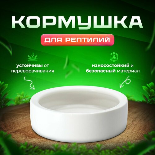 Керамическая кормушка для террариума и рептилий PetPetZone, 40х40х20 мм