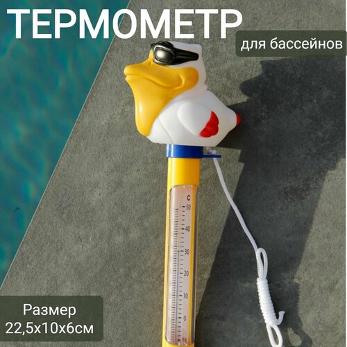 Термометр плавающий для бассейнов 22,5х10х6см, арт. Sun24048 белый пеликан