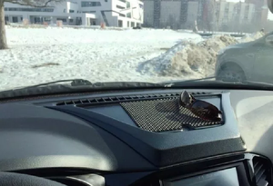 Основная фотография от вендора