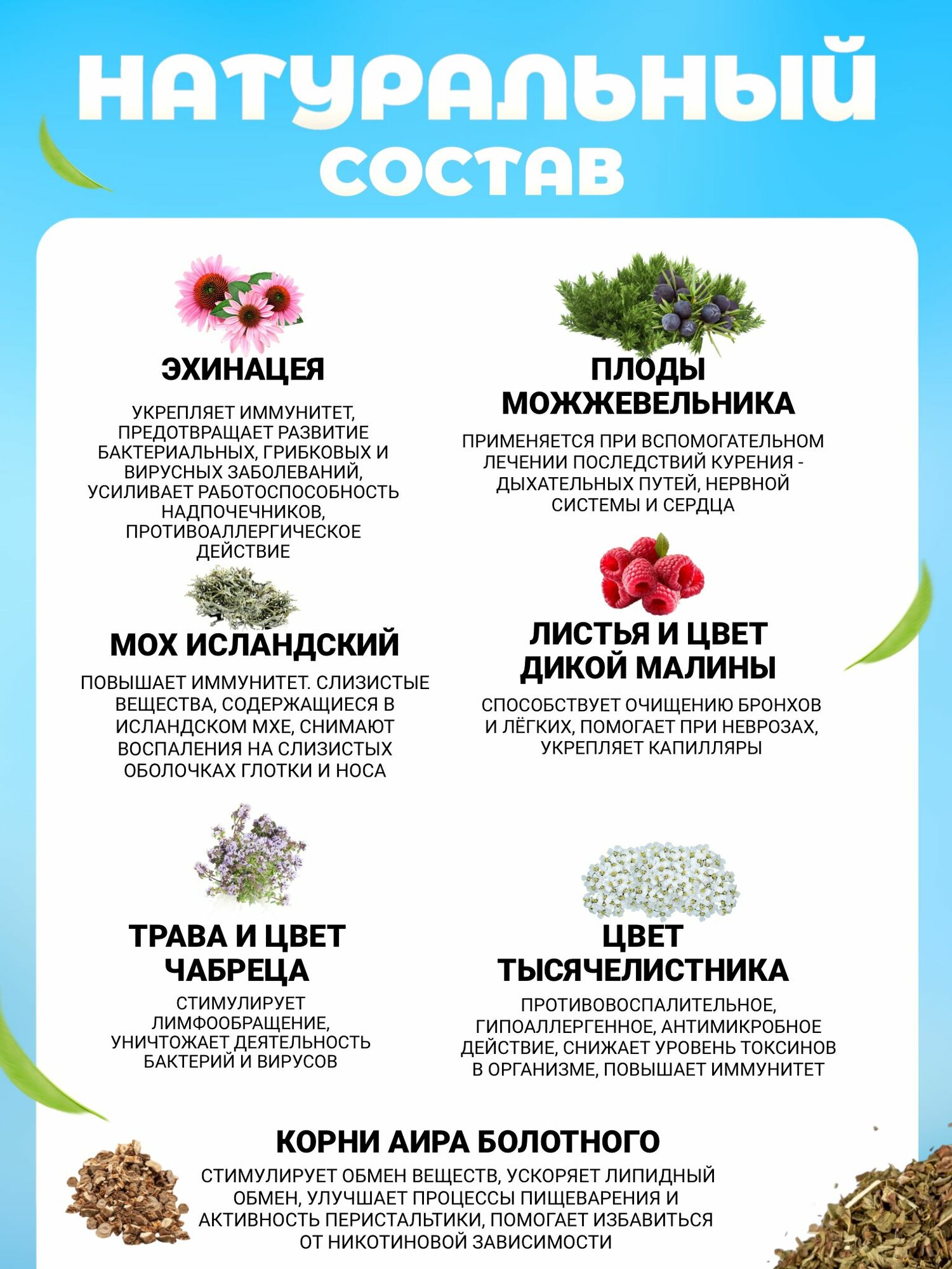 Витаминные Лекарственные Травы "Антиникотиновый" Алтайский чай травяной витаминный, сбор из трав для иммунитета, фиточай листовой целебный
