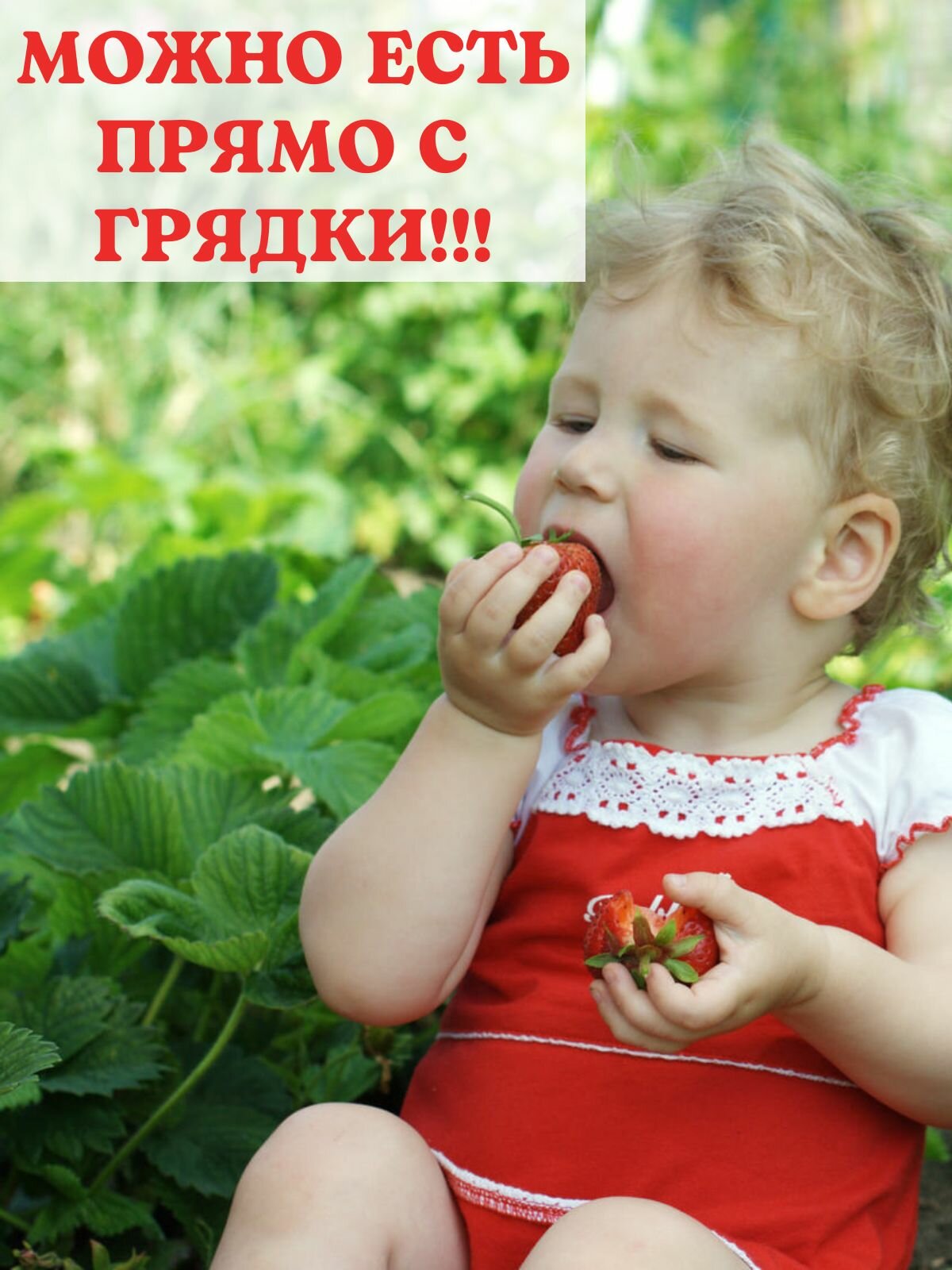 Подставка для клубники и комнатных растений h 24 см, 40 шт. — фото 1